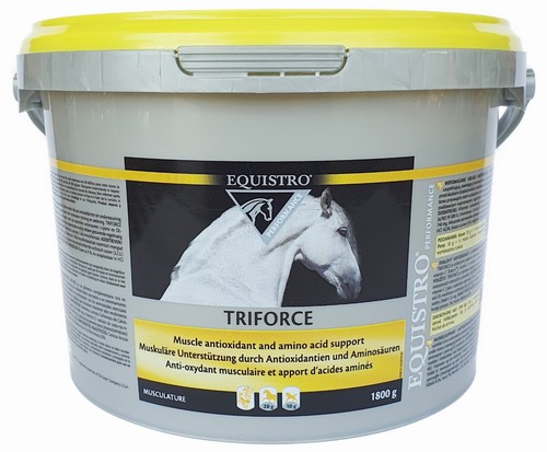 Equistro triforce 1800 - equistro®,